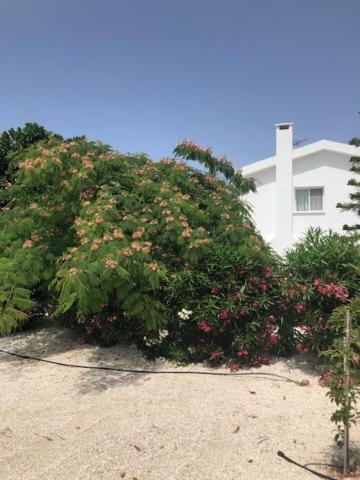 Villa Olivia, Coral Bay Luaran gambar